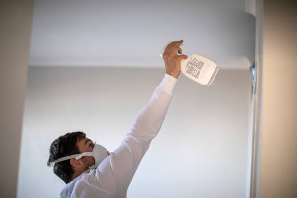 Best Best Mold Removal Companies  in Pine Lawn, MO